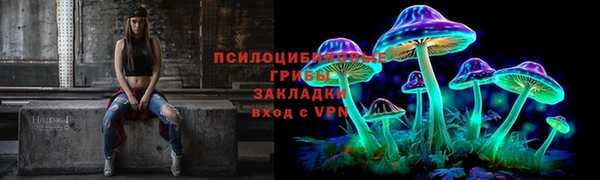 PSILOCYBIN Армянск