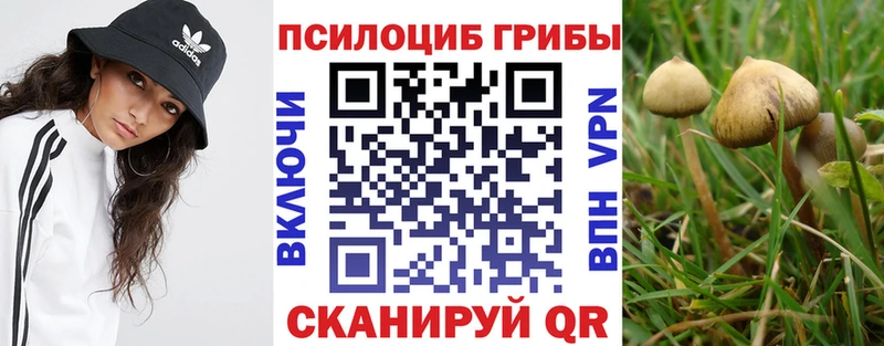 дарнет шоп Солигалич Галлюциногенные грибы Cubensis