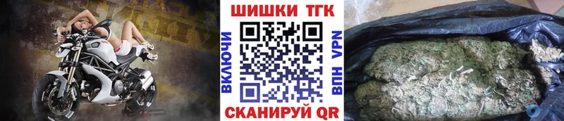 Каннабис OG Kush  Солигалич 